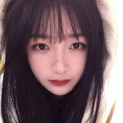 六盘山下好“菇”事——六盘山区菌菇产业见闻